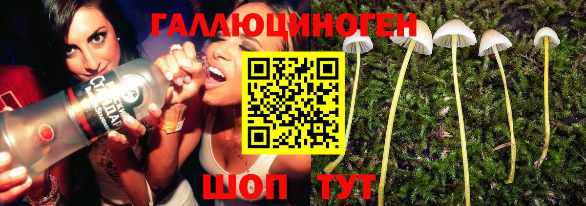 Псилоцибиновые грибы ЛСД  Тайшет 